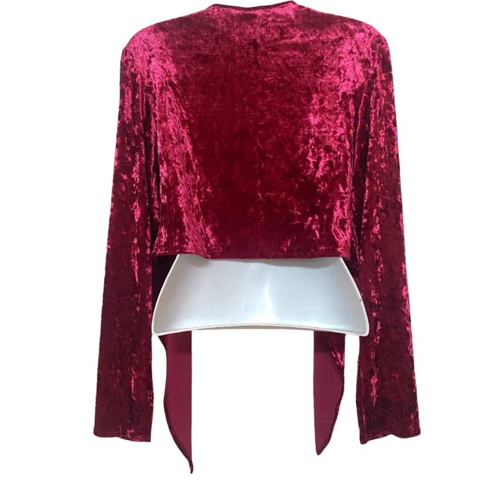 Renaissance Goth Velvet Tie Top Cardigan - Picture 4 of 4